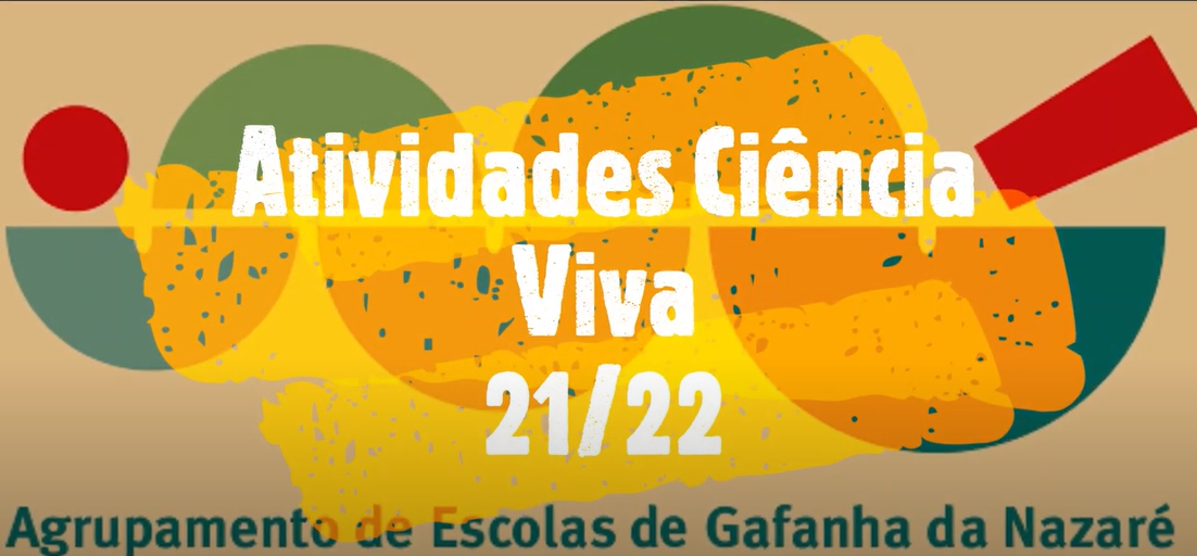 Capa do vídeo